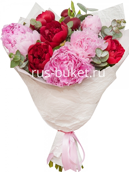 Bouquet of 11 peonies
