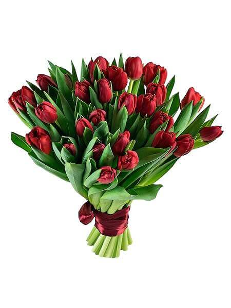 29 красных тюльпанов