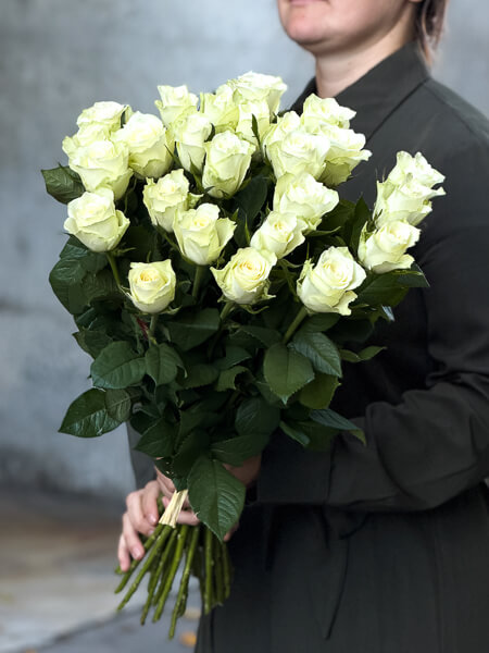 25 valget roosi (50 cm)