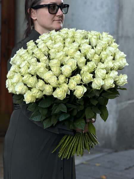 101 valget roosi (50 cm)