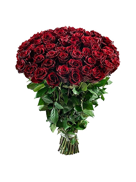 51 красная Экв. роза (70 cm)