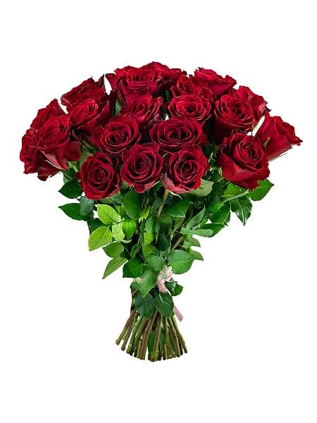 25 красных роз (50 cm)