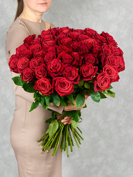 Роза Роза Эксплорер