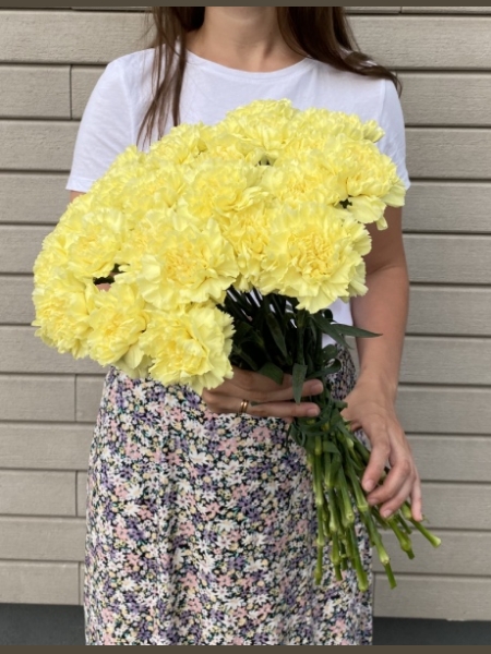 25 yellow carnations