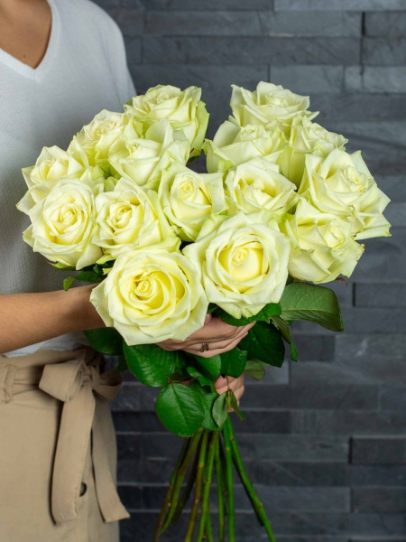 Roosikimp “15 valget roosi“