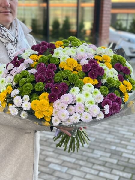 Сантини МИКС большой