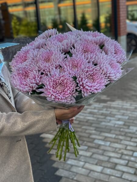 15 розовых хризантем