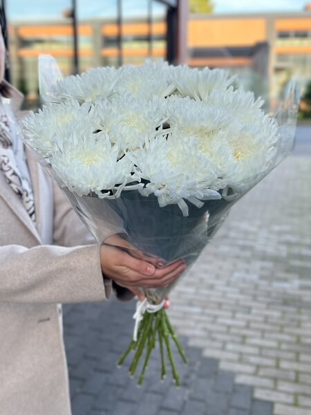 15 белых хризантем